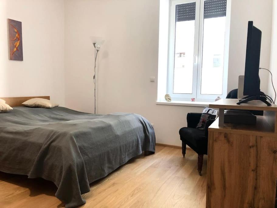 וינה Cozy Flat - Near Schoenbrunn מראה חיצוני תמונה
